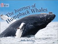 Book Cover for The Journey of Humpback Whales by Andy Belcher