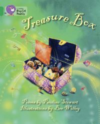 Book Cover for Treasure Box by Pauline Stewart