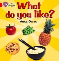 Book Cover for What Do You Like? Workbook by 