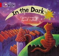 Book Cover for In the Dark by Claire Llewellyn