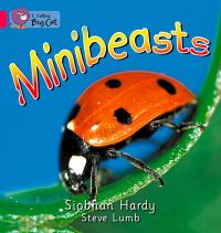 Book Cover for Minibeasts Workbook by 