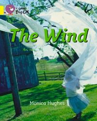 Book Cover for The Wind Workbook by 