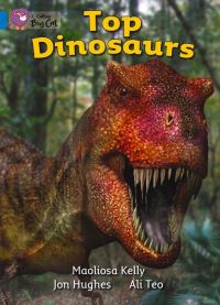Book Cover for Top Dinosaurs Workbook by 