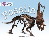 Book Cover for Fossils Workbook by 