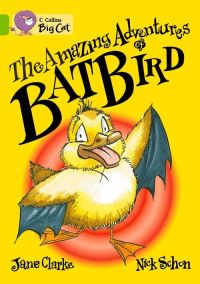 Book Cover for The Amazing Adventures of Batbird Workbook by 