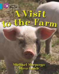 Book Cover for A Visit to the Farm Workbook by 