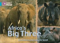 Book Cover for Africa's Big Three Workbook by 
