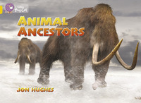 Book Cover for Animal Ancestors by Jon Hughes
