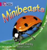 Book Cover for Minibeasts by Siobhan Hardy