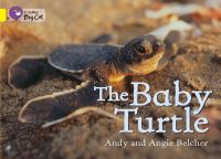 Book Cover for The Baby Turtle by Andy Belcher, Angie Belcher