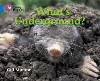Book Cover for What's Underground by Gill Munton