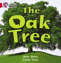 Book Cover for The Oak Tree by Anna Owen