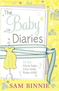 Book Cover for The Baby Diaries by Sam Binnie