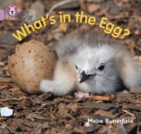Book Cover for What's in the Egg? by Moira Butterfield