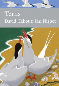 Book Cover for Terns by David Cabot, Nisbet