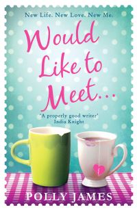 Book Cover for Would Like to Meet by Polly James