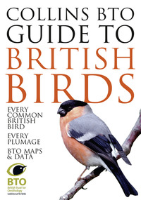 Book Cover for Collins BTO Guide to British Birds by Paul Sterry, Paul Stancliffe, British Trust for Ornithology