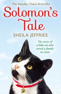 Book Cover for Solomon's Tale by Sheila Jeffries