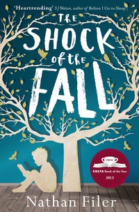 Book Cover for The Shock of the Fall by Nathan Filer