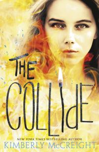 Book Cover for The Collide by Kimberly McCreight