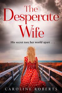 Book Cover for The Torn Up Marriage by Caroline Roberts