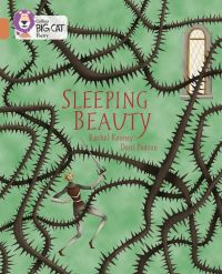 Book Cover for Sleeping Beauty by Rachel Rooney
