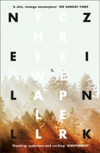 Book Cover for The Wallcreeper by Nell Zink