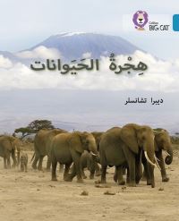 Book Cover for Animal Migration by Deborah Chancellor