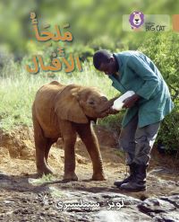 Book Cover for Elephant Sanctuary by Louise Spilsbury
