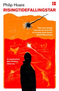 Book Cover for Risingtidefallingstar by Philip Hoare