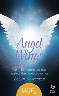 Book Cover for Angel Wings by Jacky Newcomb