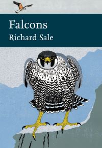 Book Cover for Falcons by Richard Sale