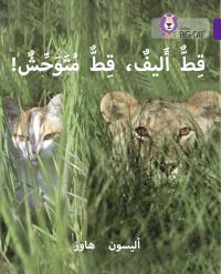 Book Cover for Tame Cat, Wild Cat by Alison Hawes