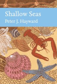 Book Cover for Shallow Seas by Peter Hayward