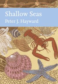 Book Cover for Shallow Seas by Peter Hayward