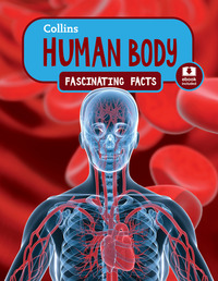 Book Cover for Human Body by Jen Green