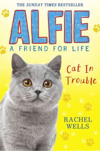 Book Cover for Cat in Trouble by Rachel Wells