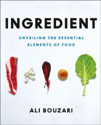 Book Cover for Ingredient by Ali Bouzari