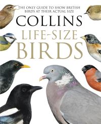 Book Cover for Collins Life-Size Birds by Paul Sterry