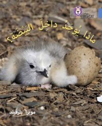 Book Cover for What's in the Egg? by Moira Butterfield