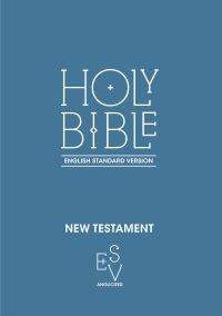 Book Cover for New Testament by 