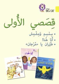 Book Cover for First Stories Big Book by Collins Big Cat