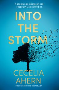 Book Cover for Into the Storm by Cecelia Ahern