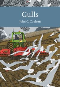 Book Cover for Gulls by John Coulson