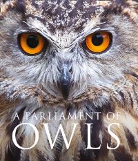 Book Cover for A Parliament of Owls by Mike Unwin