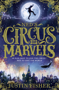 Book Cover for Ned's Circus of Marvels by Justin Fisher