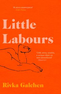 Book Cover for Little Labours by Rivka Galchen