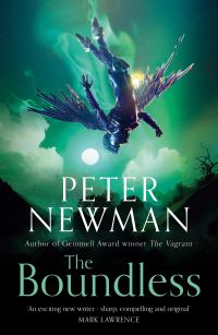 Book Cover for The Boundless by Peter Newman