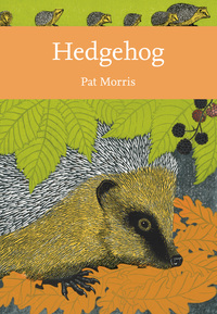 Book Cover for Hedgehog by Pat Morris