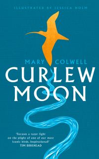 Book Cover for Curlew Moon by Mary Colwell